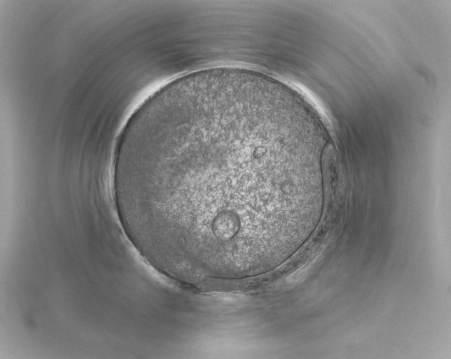 X0000116030910200912041932