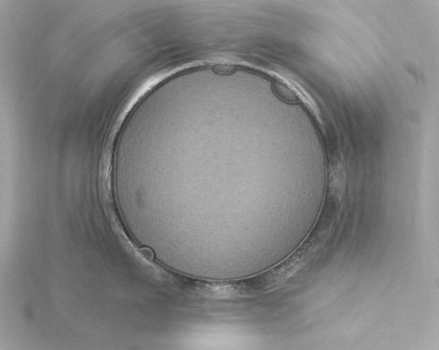 X0000116030911200912041932