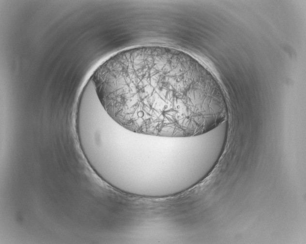 X0000116030912200912041932