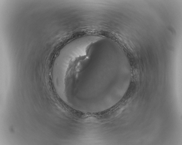 X0000116030913200912041931