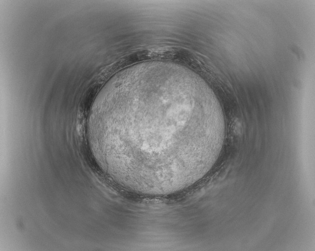 X0000116030914200912041931