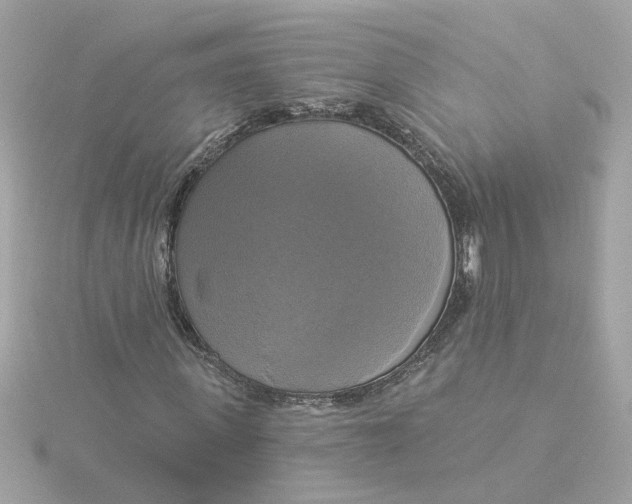 X0000116030915200912041931