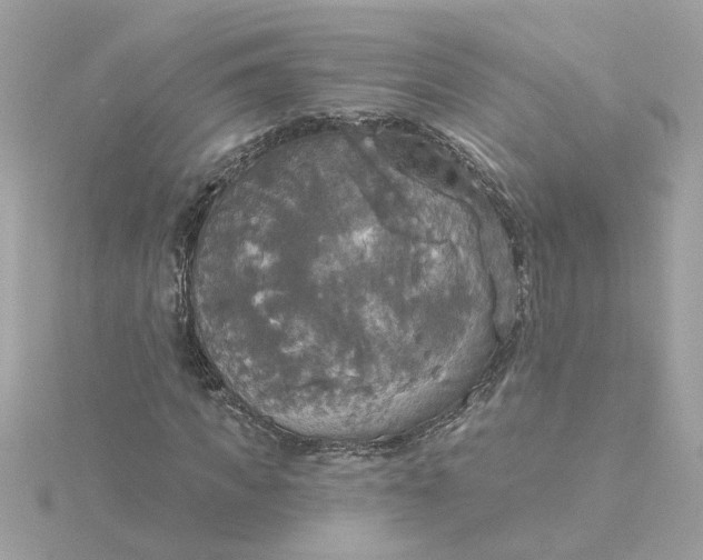 X0000116030917200912041931