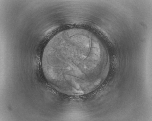 X0000116030918200912041931