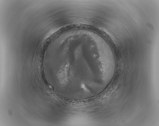 X0000116030919200912041931