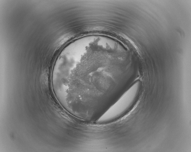 X0000116030921200912041931