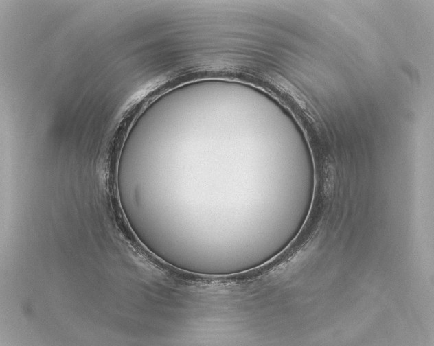 X0000116030922200912041931