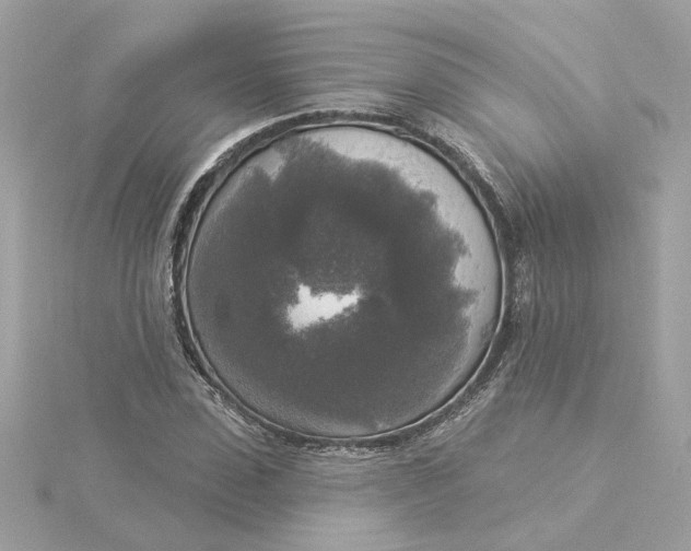 X0000116030923200912041931