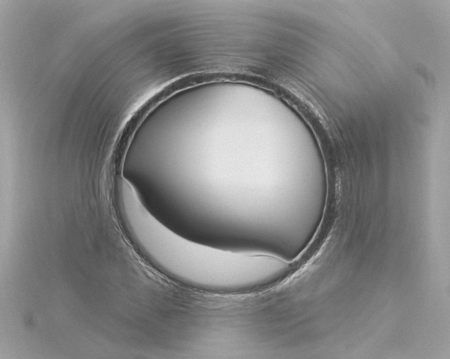 X0000116030925200912041931