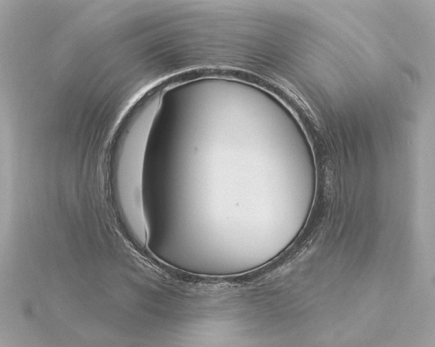 X0000116030926200912041931