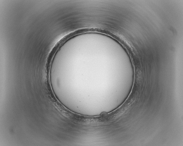 X0000116030927200912041931