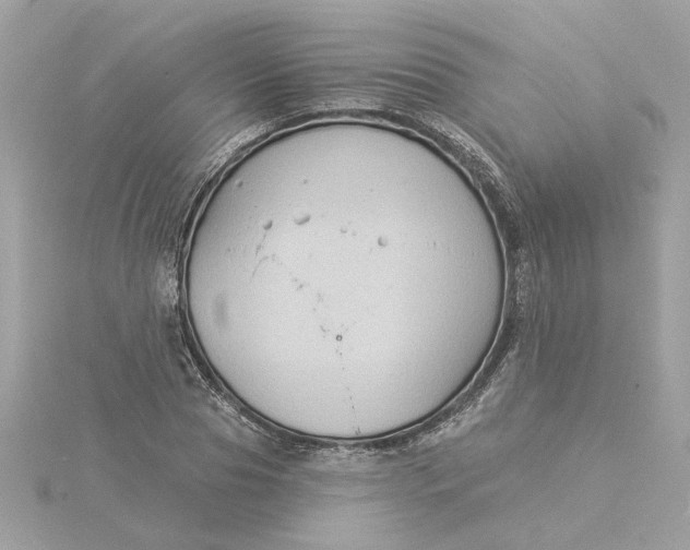 X0000116030929200912041931