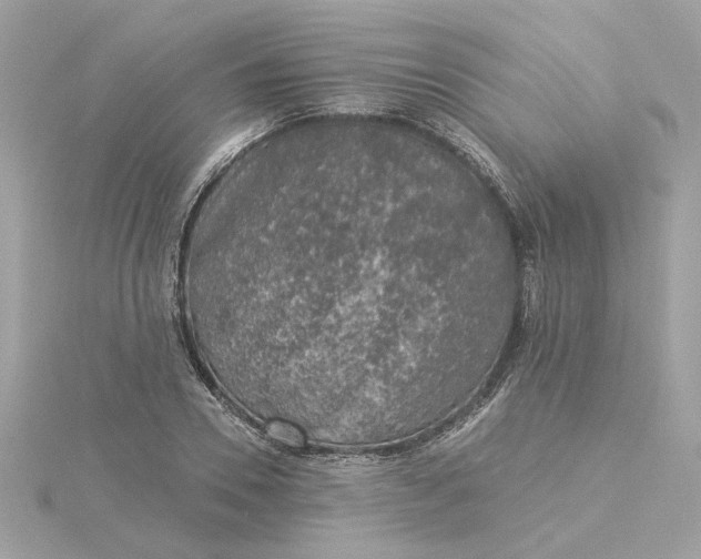 X0000116030930200912041931