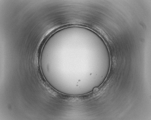 X0000116030931200912041931