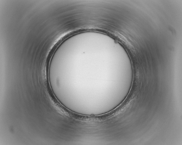 X0000116030934200912041931