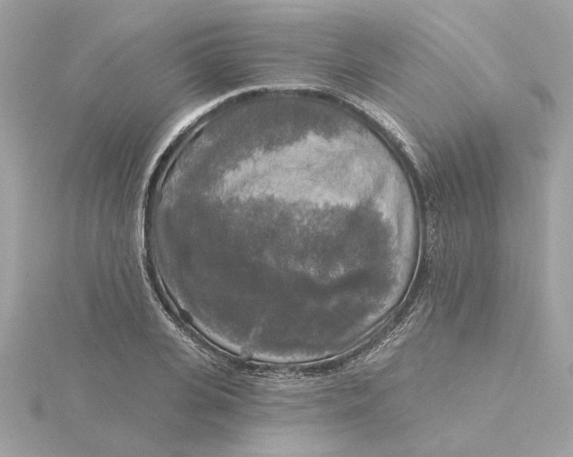 X0000116030935200912041931