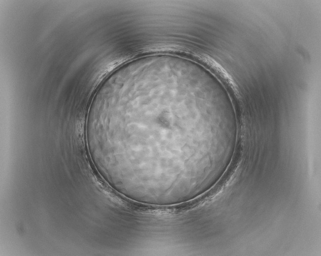 X0000116030937200912041931