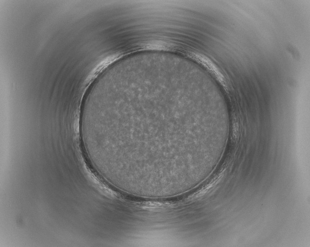 X0000116030938200912041931