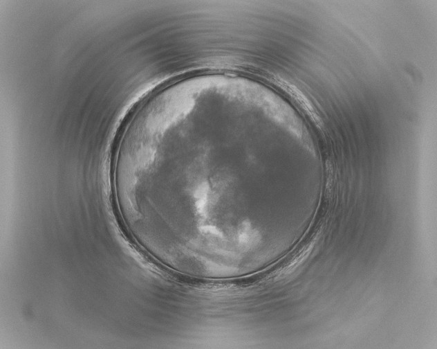 X0000116030939200912041931