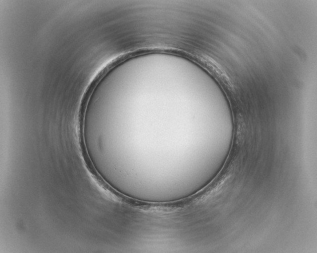 X0000116030942200912041931