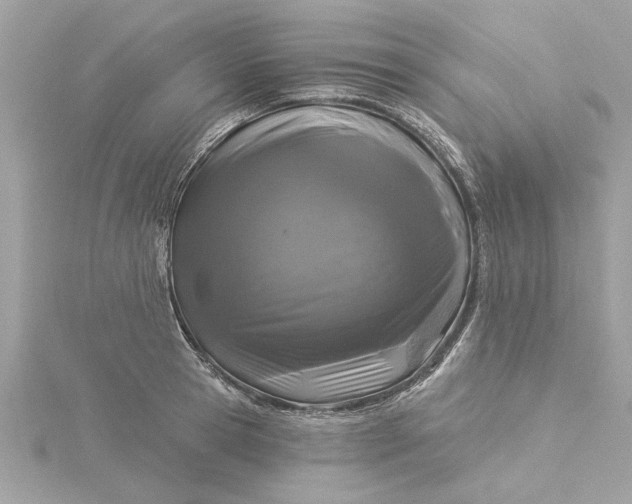 X0000116030945200912041932