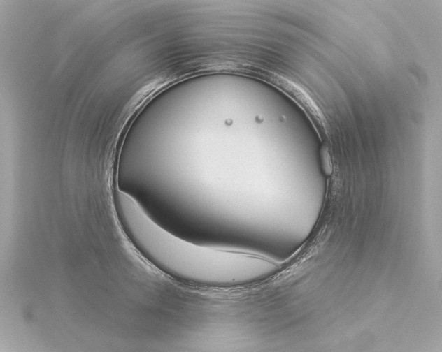 X0000116030946200912041932