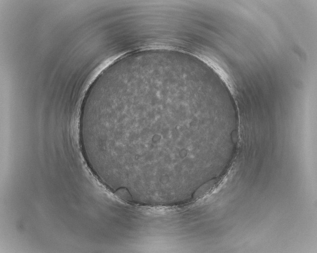 X0000116030949200912041932