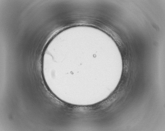 X0000116030950200912041932