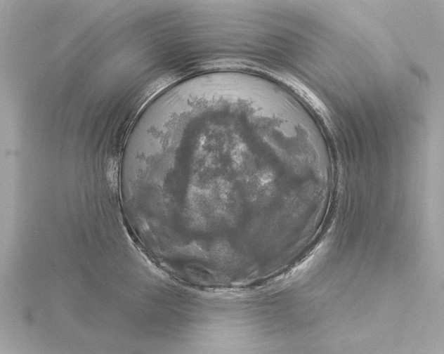 X0000116030953200912041932