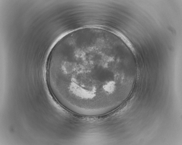 X0000116030955200912041932