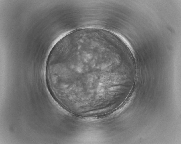 X0000116030957200912041932