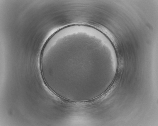 X0000116030958200912041932