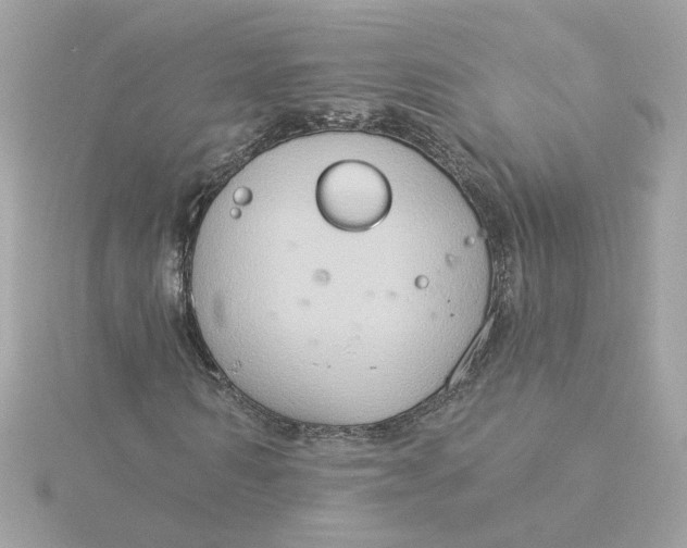 X0000116030962200912041931