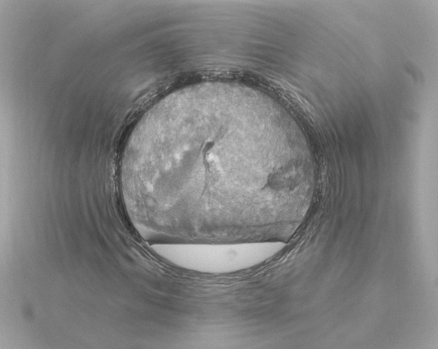 X0000116030964200912041931