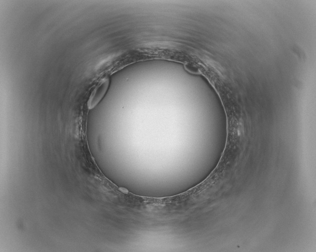 X0000116030965200912041931