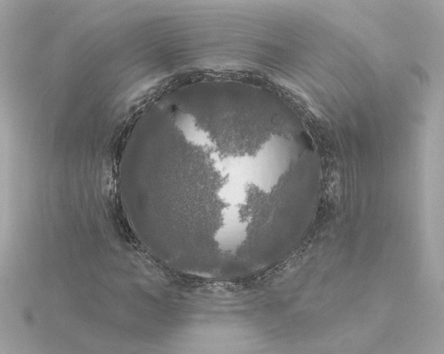 X0000116030966200912041931