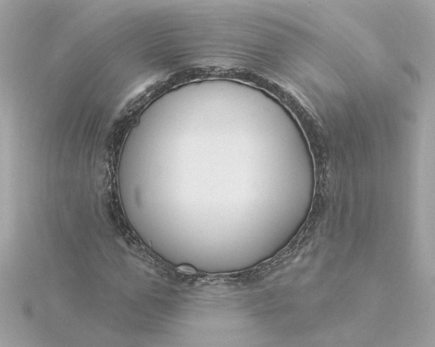 X0000116030967200912041931