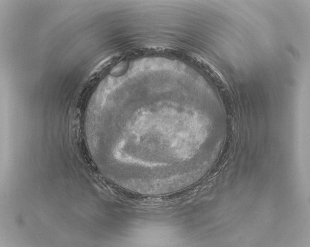 X0000116030968200912041931