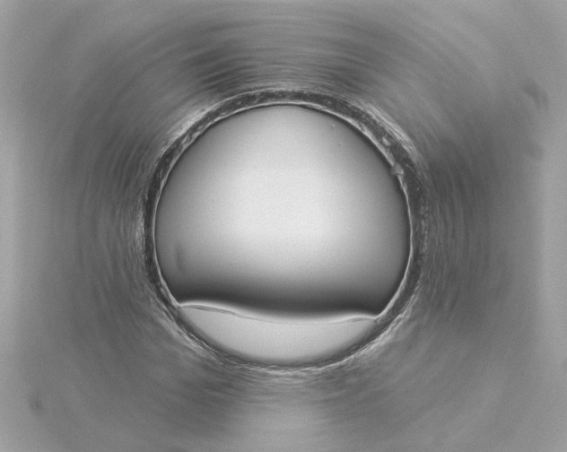 X0000116030969200912041931