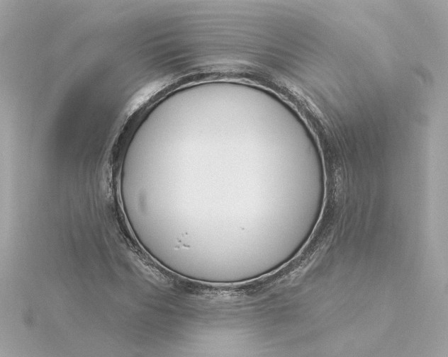 X0000116030970200912041931