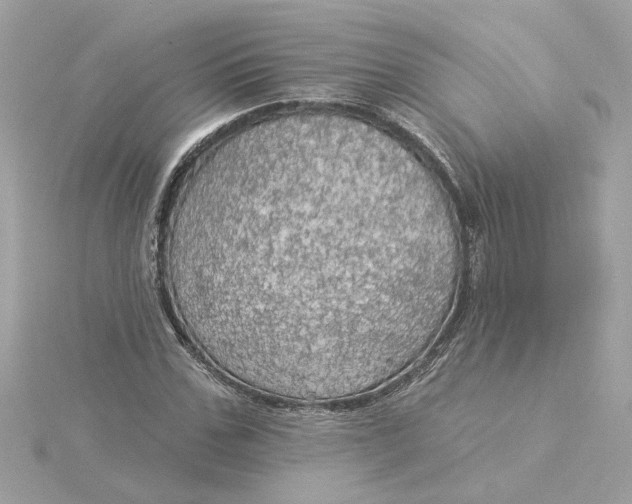 X0000116030971200912041931