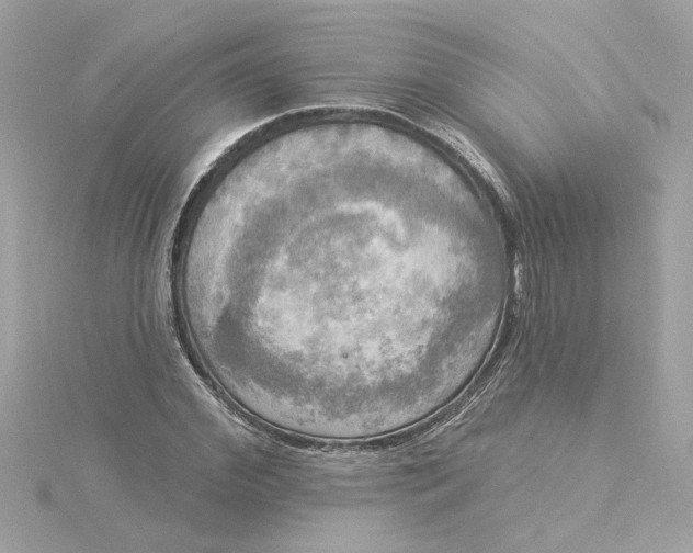 X0000116030972200912041931