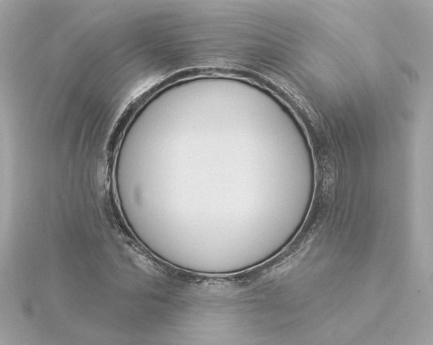 X0000116030974200912041931