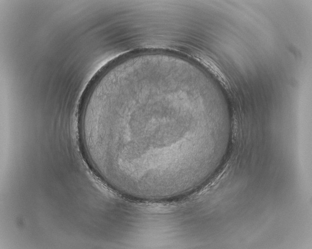 X0000116030976200912041931