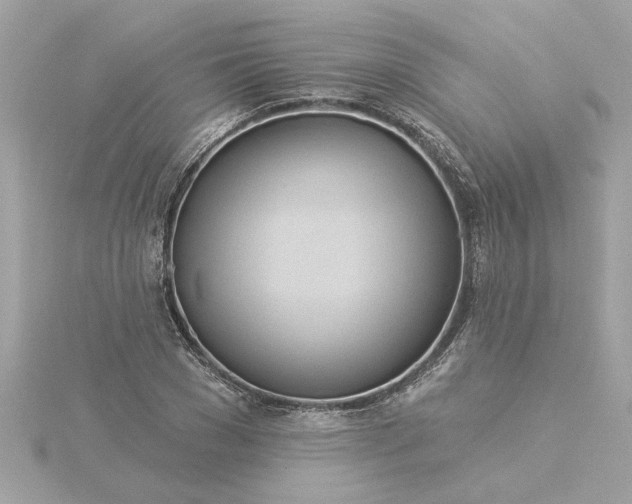 X0000116030977200912041931