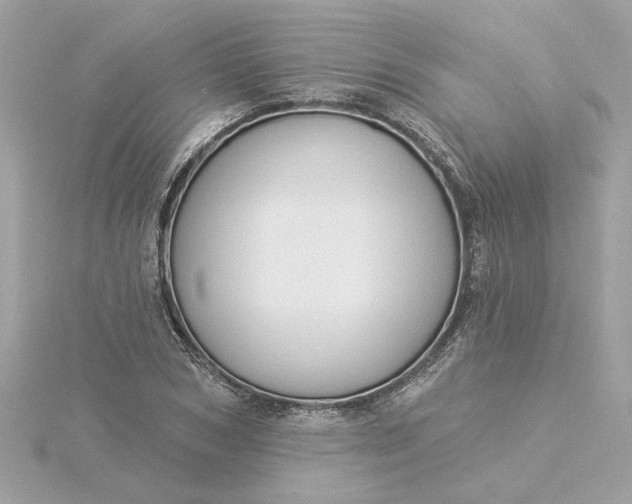 X0000116030978200912041931