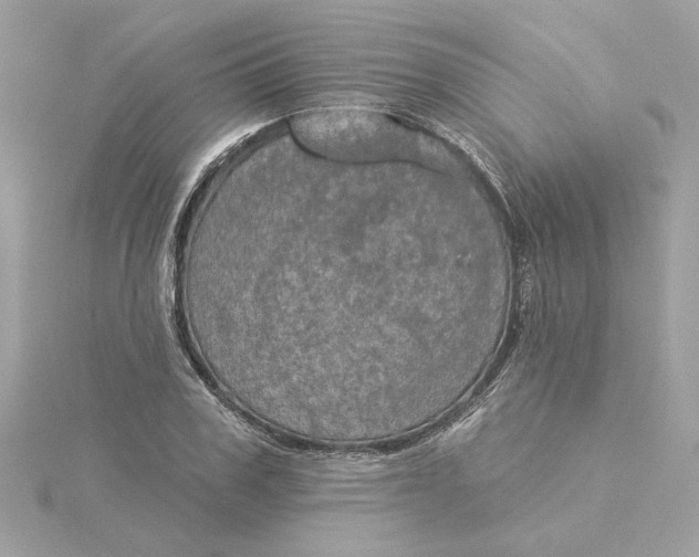 X0000116030979200912041931