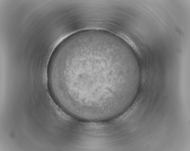 X0000116030980200912041931