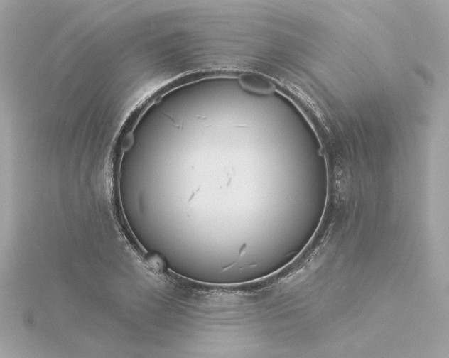 X0000116030981200912041931