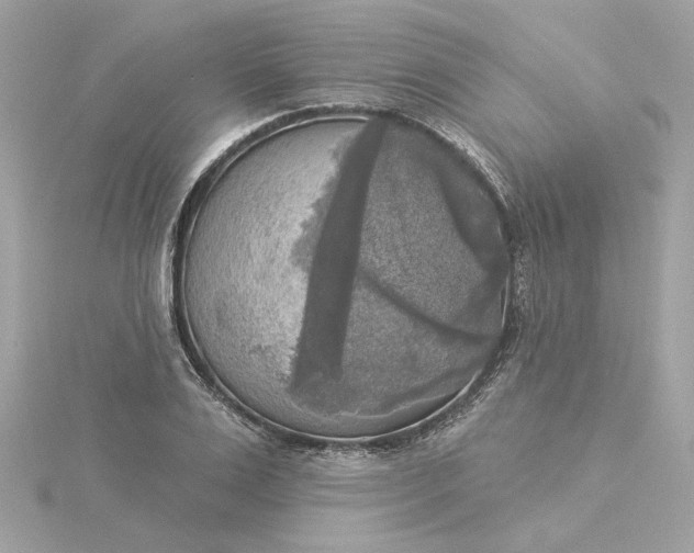 X0000116030983200912041931